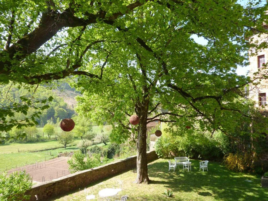 Château de Salelles Banassac Extérieur photo