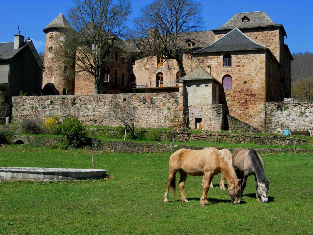 Château de Salelles Banassac Extérieur photo